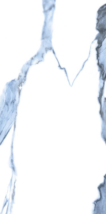 Calacatta Blue Matte 12 x 24